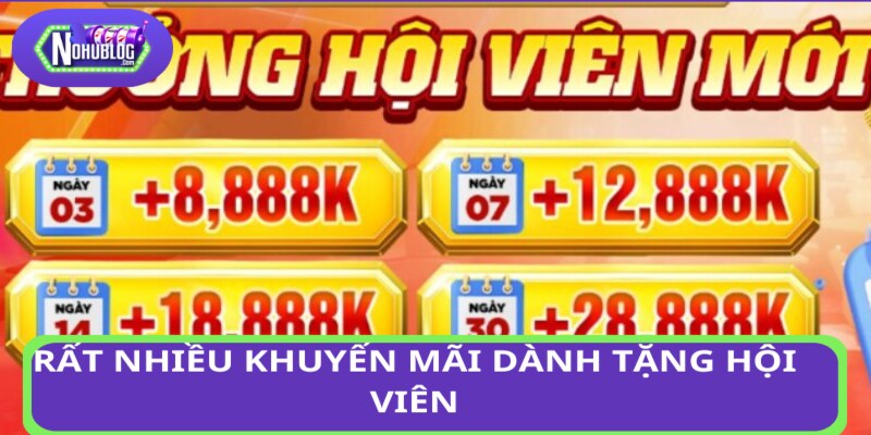 Rất nhiều ưu đãi dành tặng hội viên