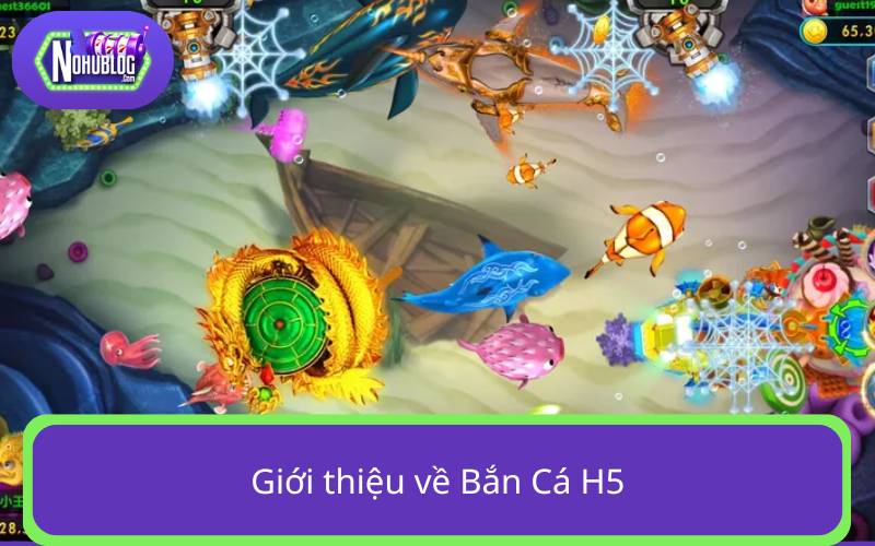 Giới thiệu về Săn Cá H5