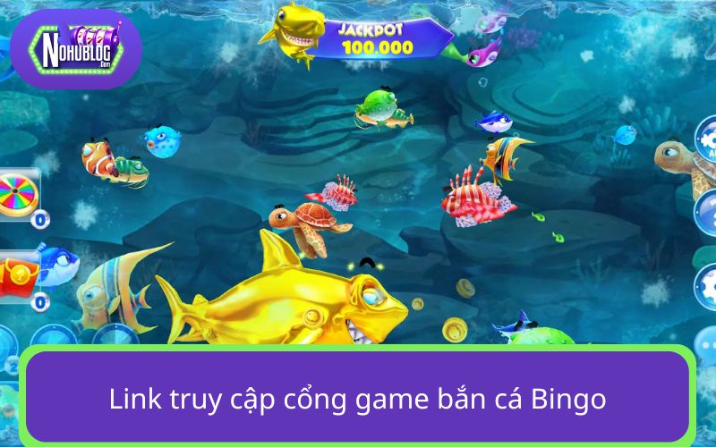 Cập nhật link truy cập Bingo săn cá mới nhất 